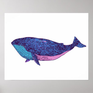 Poster Dessin d'art de la baleine mignonne en bleu océan
