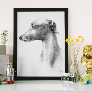 Poster Dessin d'art de portrait de chien Whippet lévrier 