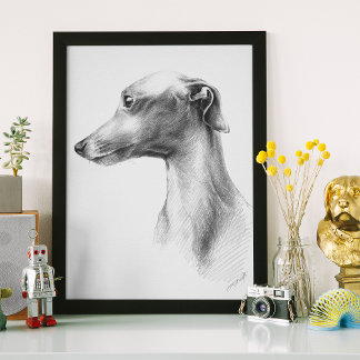 Poster Dessin d'art de portrait de chien Whippet lévrier