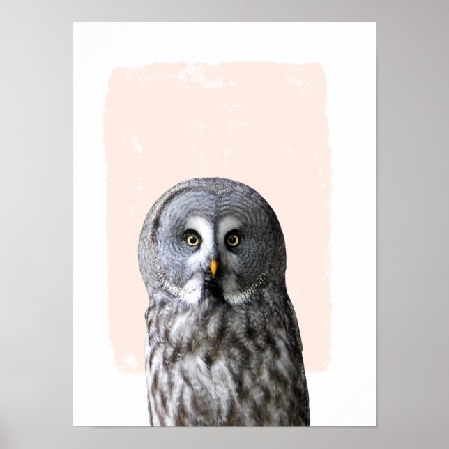Poster Dessin d'art mural de la nurserie de hibou portrai (Devant)