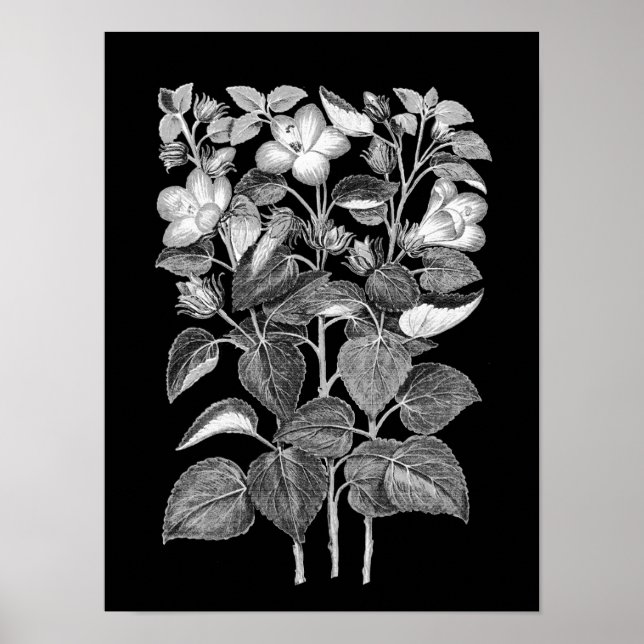 Poster Dessin de charbon de bois des fleurs italiennes d' (Devant)