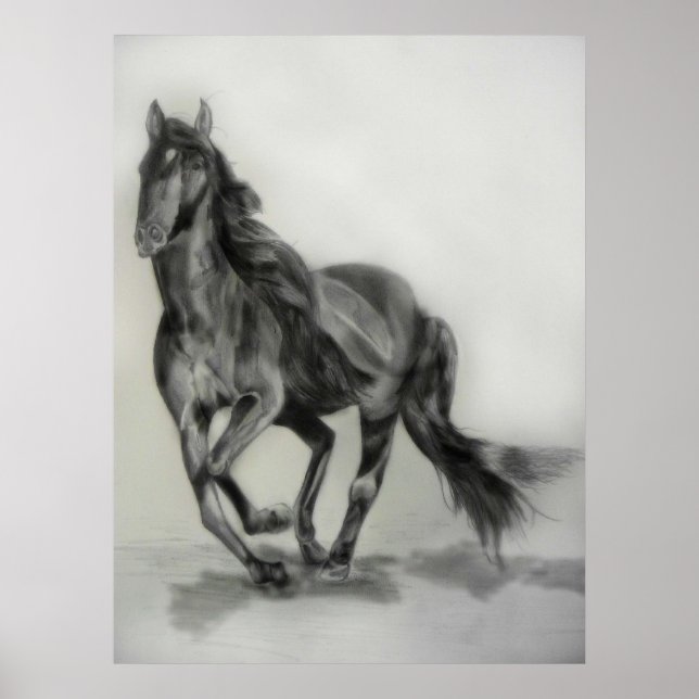 Poster dessin de cheval foncé (Devant)