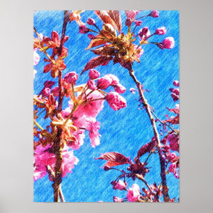 Poster Dessin de crayon couleur - Fleurs de cerisiers de 