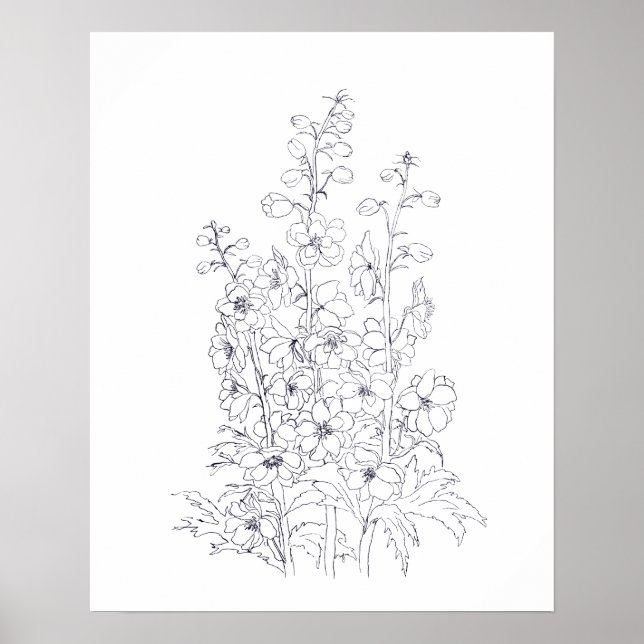 Poster dessin de fleur de larkspur de delphinium (Devant)