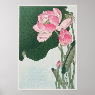 Poster Dessin de fleurs de lotus en Vintage floraison