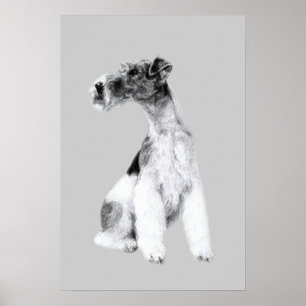 Poster Dessin de Fox Terrier