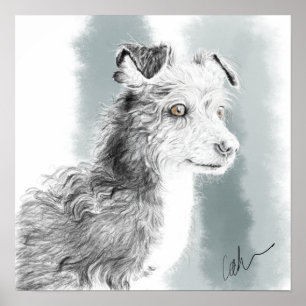 Poster Dessin de Mickey