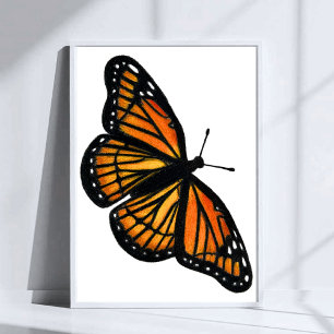 Poster Dessin de papillon monarque au crayon de couleur