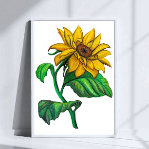 Poster Dessin de tournesol jaune à l'art au crayon de cou