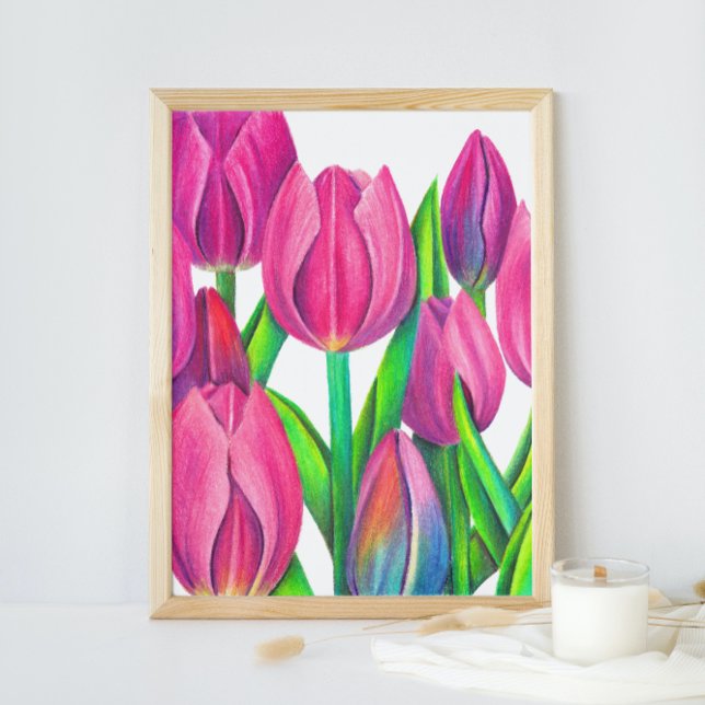 Poster Dessin de tulipes roses botaniques (Créateur téléchargé)