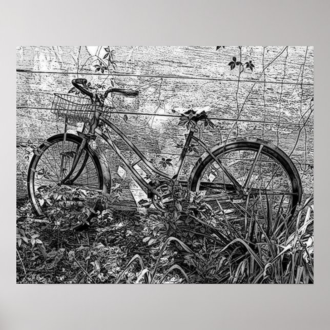 Poster Dessin de vieux vélos abandonnés, noir et blanc (Devant)