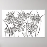 Dessin du Jardin Fleur de Fleur Noir et Blanc