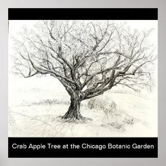 Poster Dessin du stylet et de l'arbre d'encre