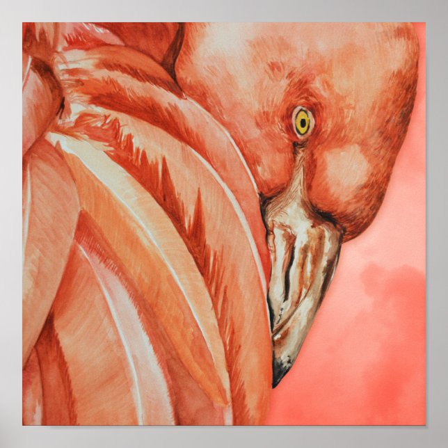 Poster Dessin Flamant rose mignon (Devant)