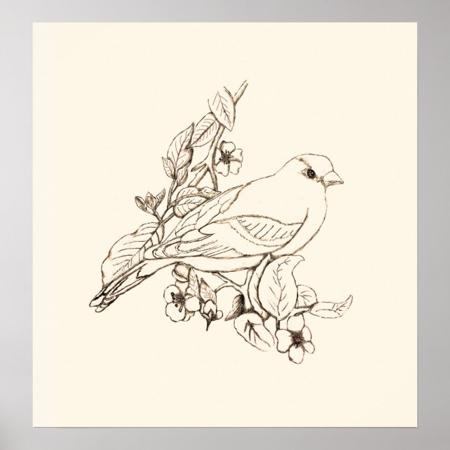 Poster Dessin Goldfinch Ligne Noire, Couleur It (Devant)