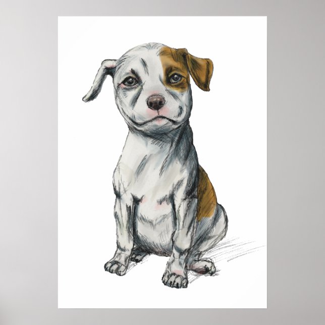 Poster Dessin Pit Bull Puppy (Devant)