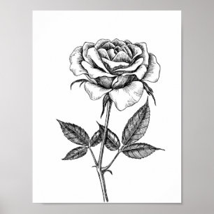 Poster dessin rose