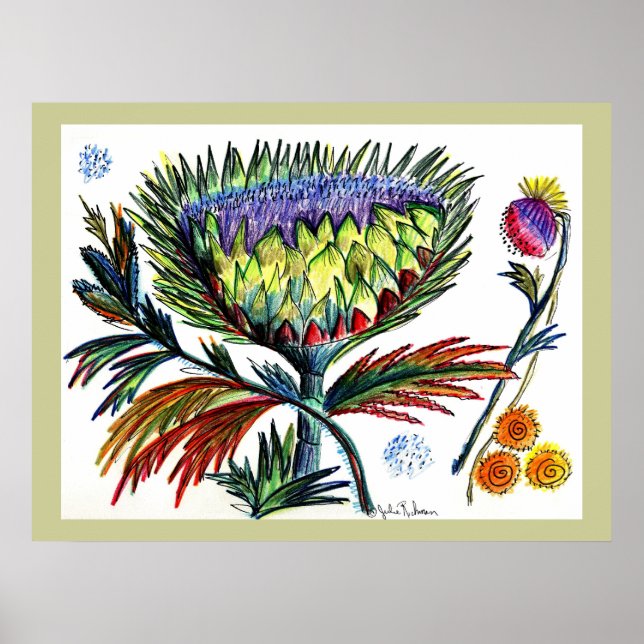 Poster Dessin Thistle42 (Devant)