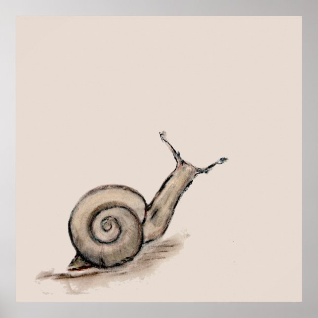 Poster Dessin zen original pastel Snail (Devant)