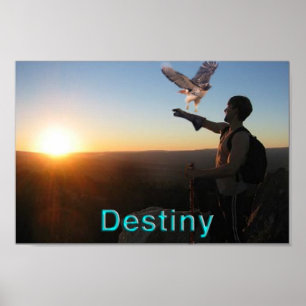 Poster Destin