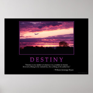 Poster Destin