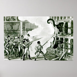 Poster Destruction de l'éléphant furieux à Exeter