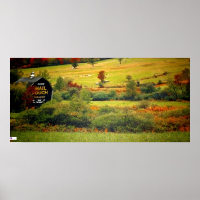 Poster d'étagère de poche (Devant)