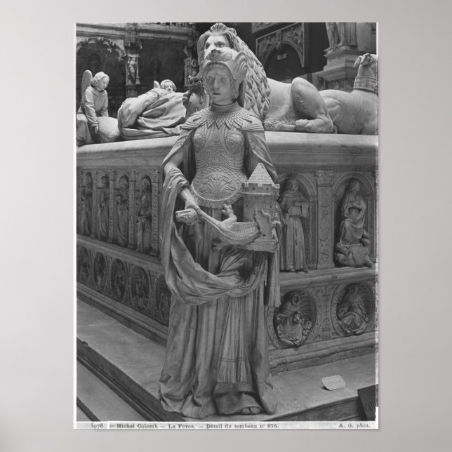 Poster Détail de la force (Devant)