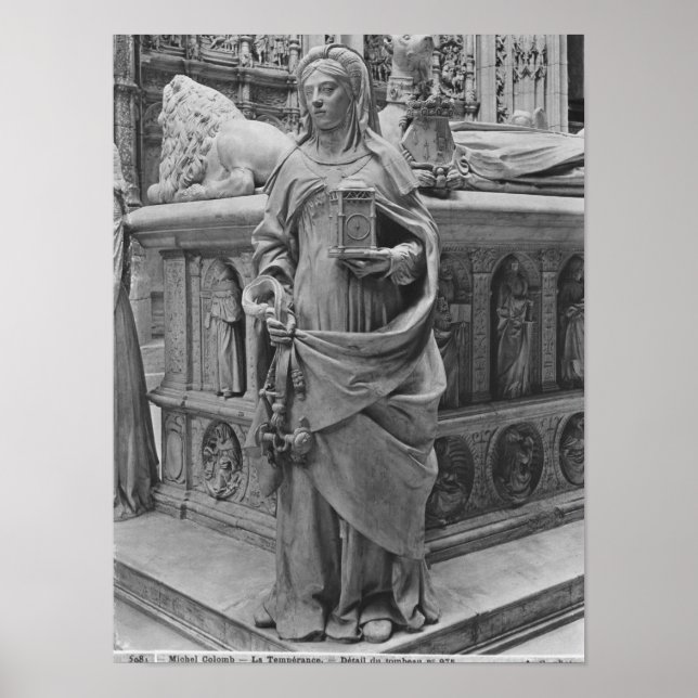 Poster Détail de la température (Devant)