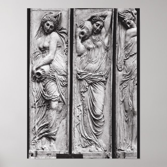 Poster Détail des reliefs (Devant)