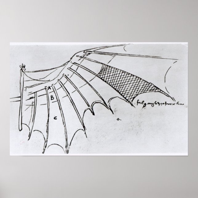 Poster Détail d'une aile mécanique (Devant)