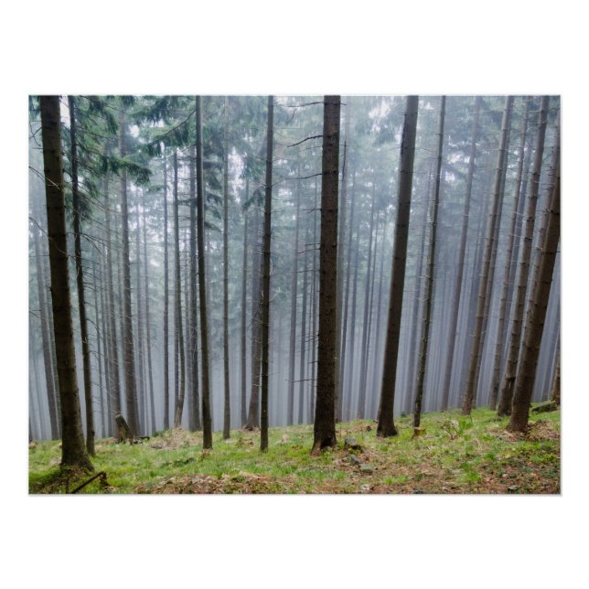 Poster Détente Forêt D'Automne (Devant)