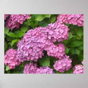 Poster Détroit de Deep Pink