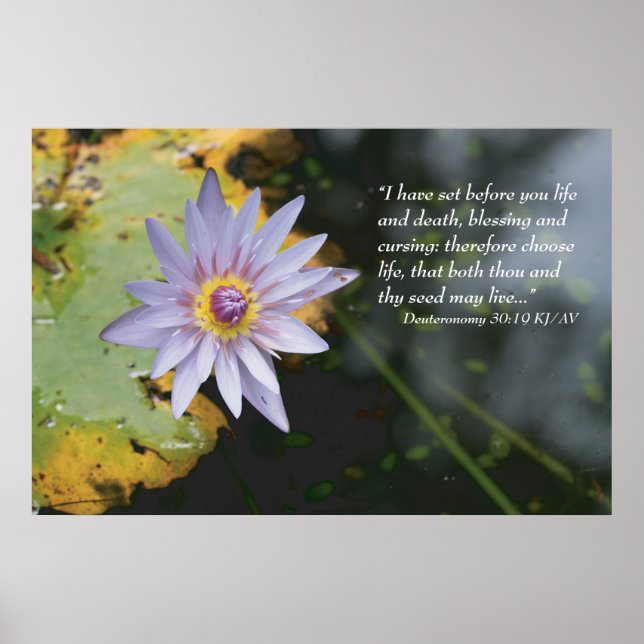 Poster Deutéronome 30:19 Écriture Imprimer (Devant)
