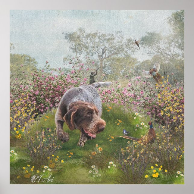 Poster Deutsch Drahthaar (Devant)