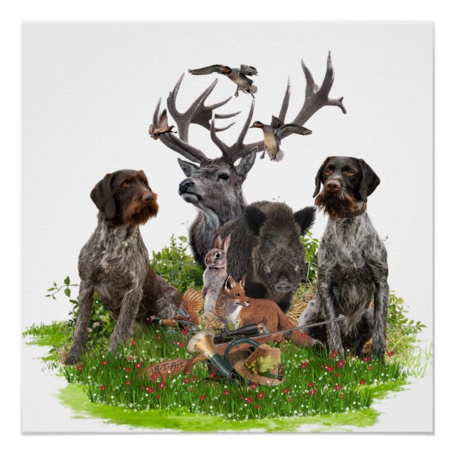 Poster (deutsches Drahthaar Pointer, GWP) (Vorderseite)