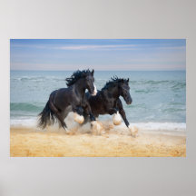 Deux Beaux Chevaux De Rivière Sur La Plage