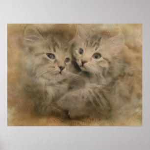Poster Deux Chatons Gris Cute En Aquarelle