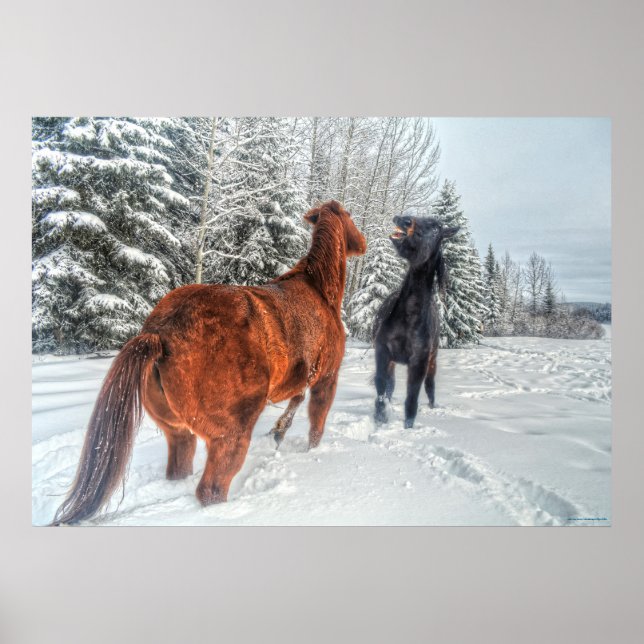 Poster Deux Chevaux de Ranch Jouer à la Neige d'hiver III (Devant)