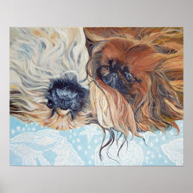 Poster Deux chiens Pékinois (Devant)