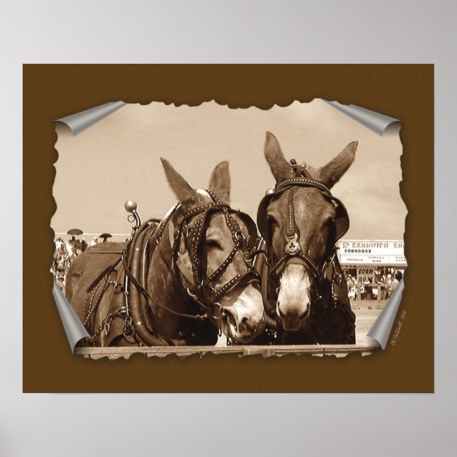 Poster Deux d'un genre (Devant)