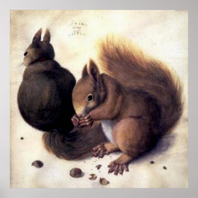 Poster "Deux écureuils" par Albrecht Dürer (Devant)
