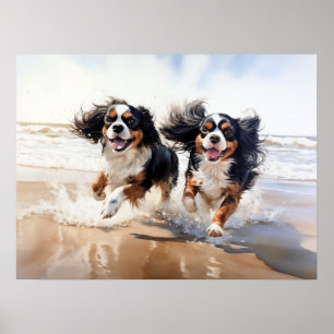 Poster Deux Espagnols Cavalier King Charles