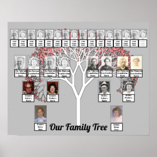 Poster Deux familles Arbre fractal gris Nom de la photo P