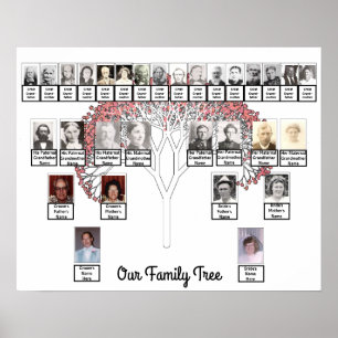 Poster Deux familles Arbre fractal rose Nom de la photo P