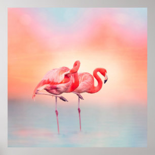 Poster Deux flamants roses dans l'eau au coucher du solei