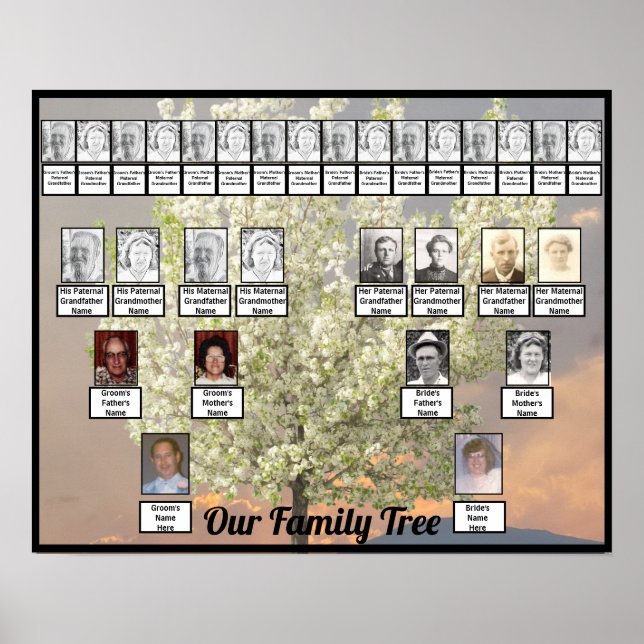 Poster Deux fleurs d'arbre généalogique | Coucher de sole (Devant)