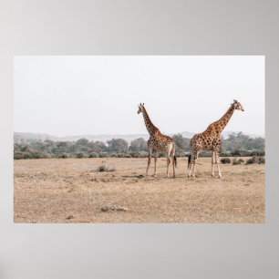 POSTER DEUX GIRAFFES