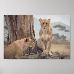 Poster Deux lions majestueux à la muraille mondiale