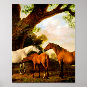 Poster Deux mares shafto et un poulain par George Stubbs
